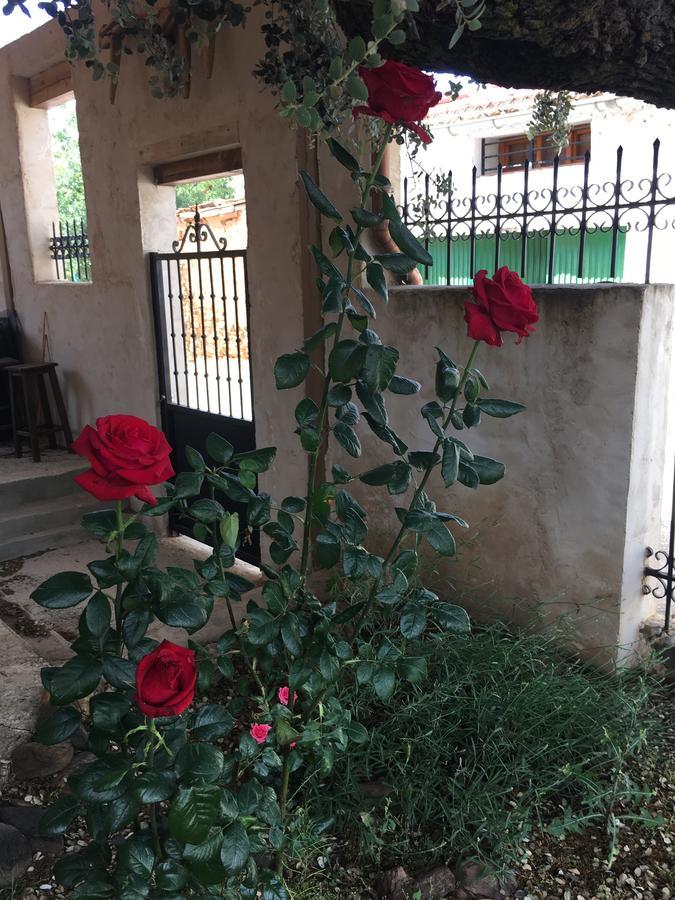 La Casa Del Cartero Pablo Guest House Saldana de Ayllon ภายนอก รูปภาพ