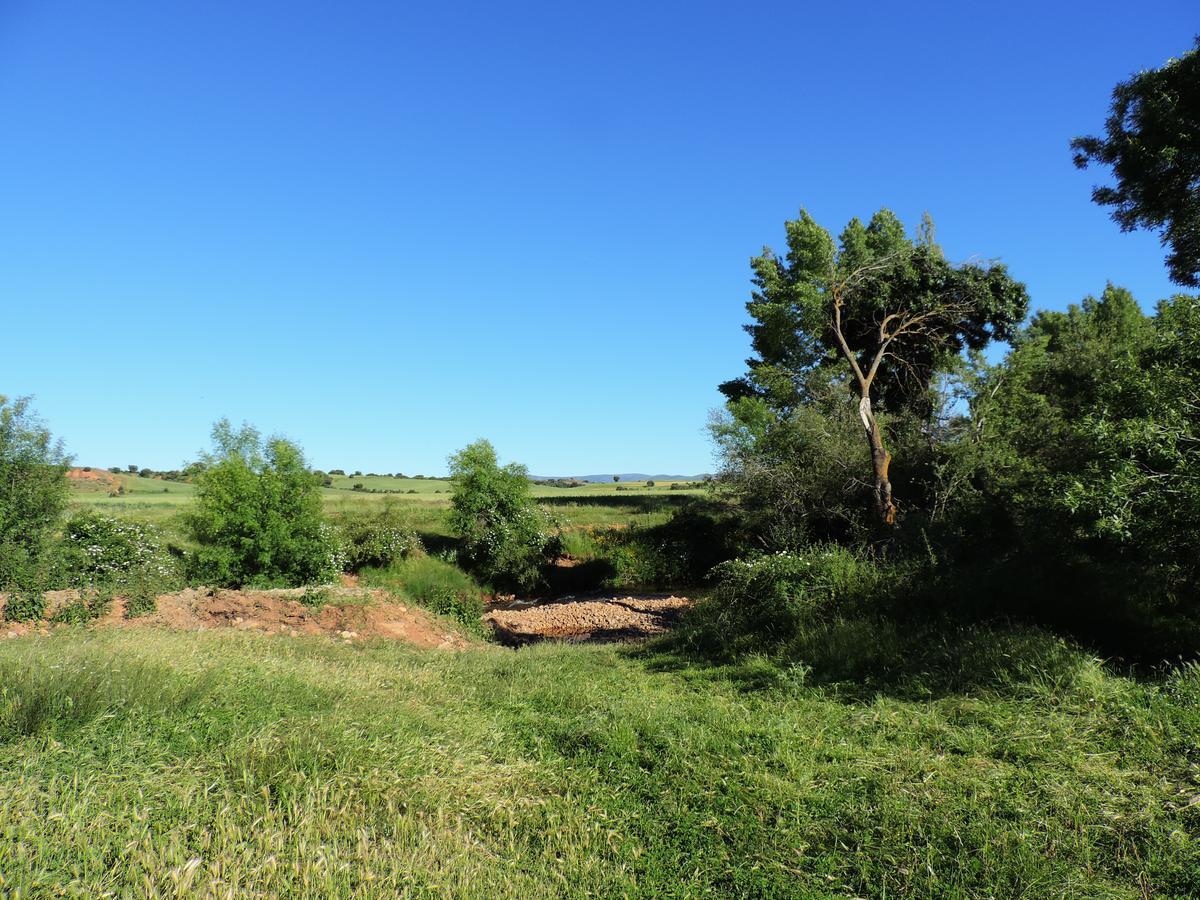 La Casa Del Cartero Pablo Guest House Saldana de Ayllon ภายนอก รูปภาพ